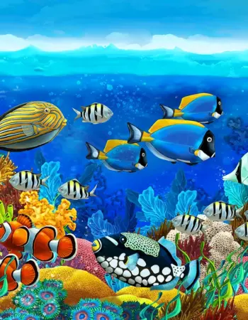 Подводный мир океана