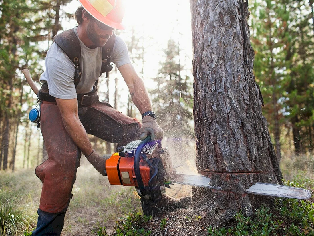 Пояс вальщика Stihl