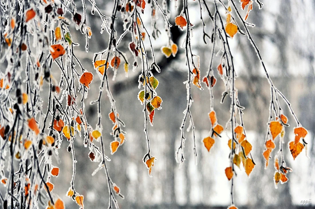 Поздняя осень