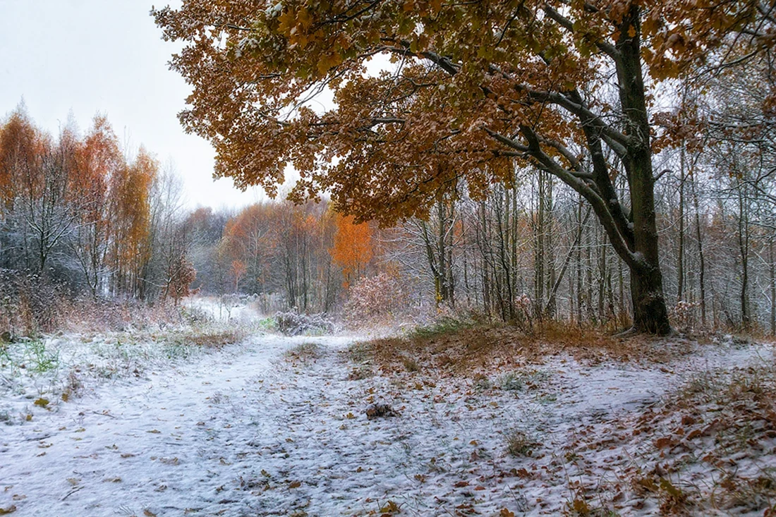Поздняя осень