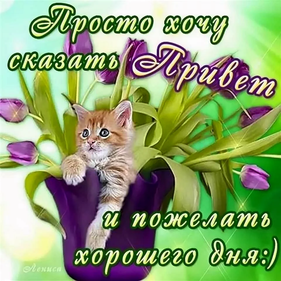 Поздравление с хорошим днем