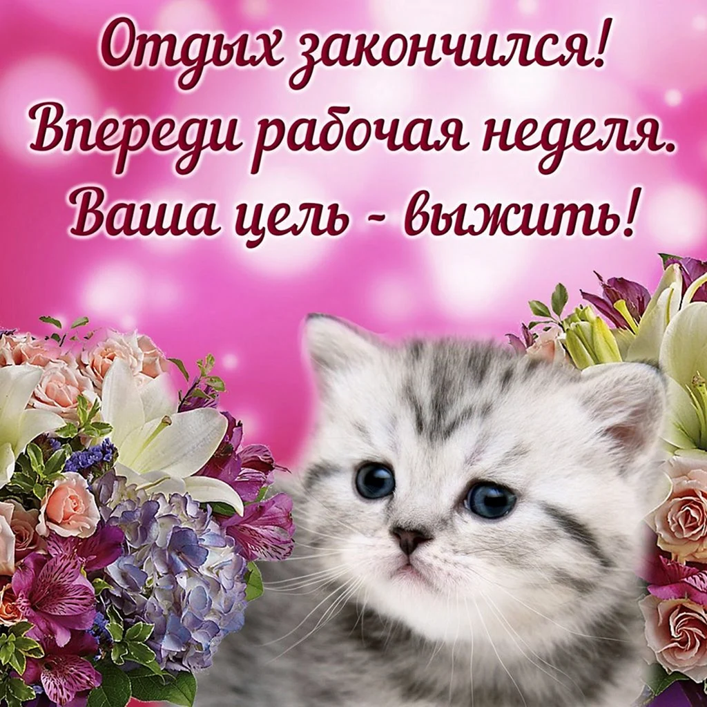 Поздравление с понедельником