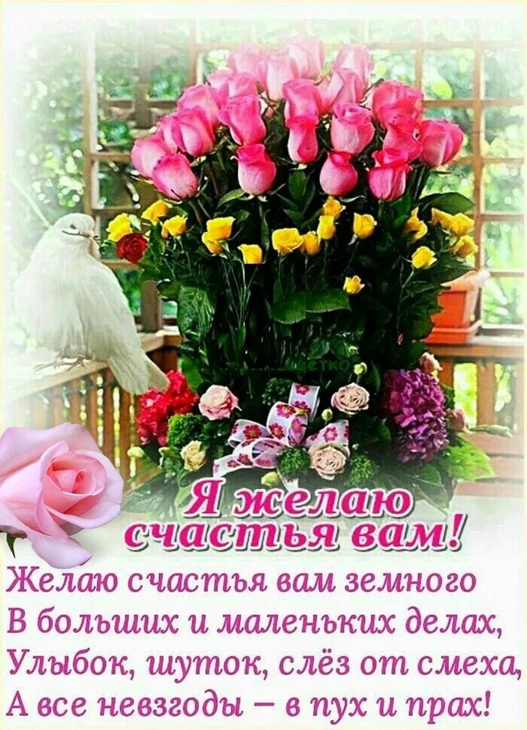 Поздравления на каждый день в картинках