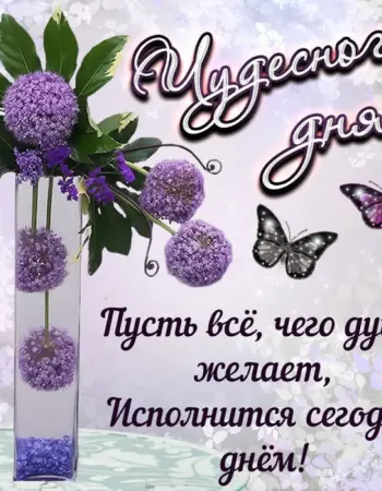 Поздравления на каждый день в картинках