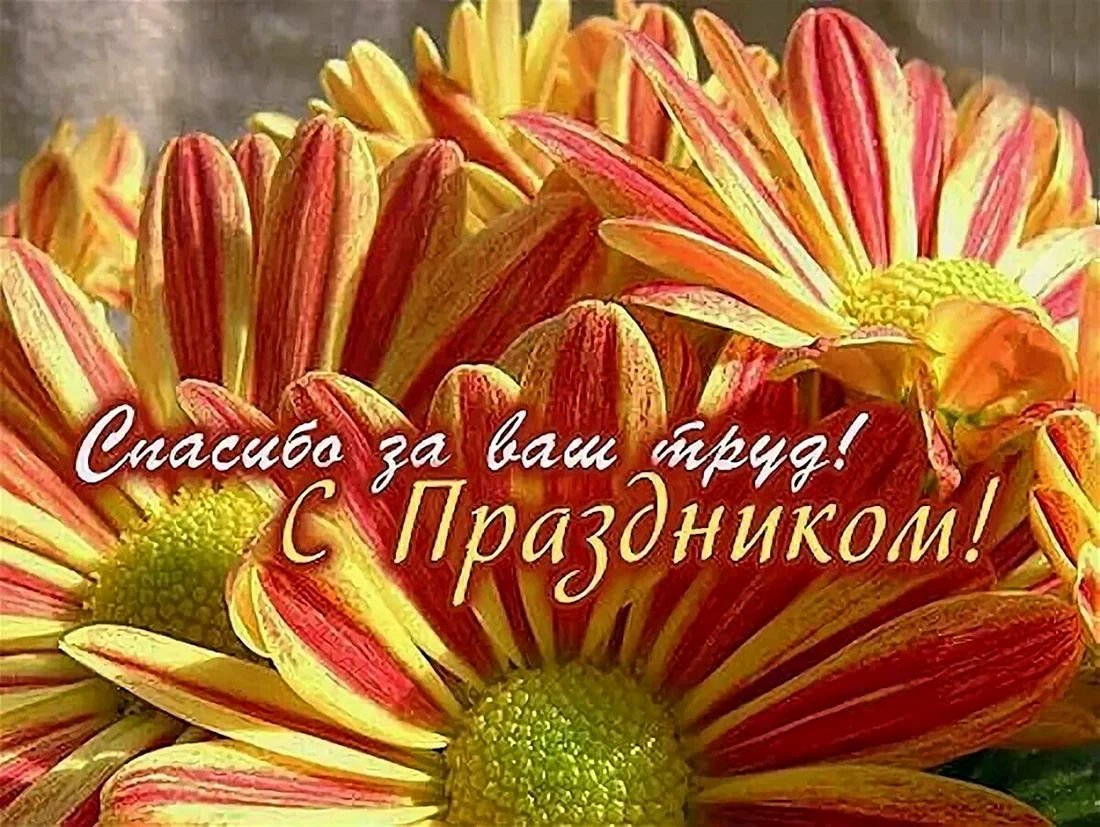 Поздравляю с профессиональным праздником