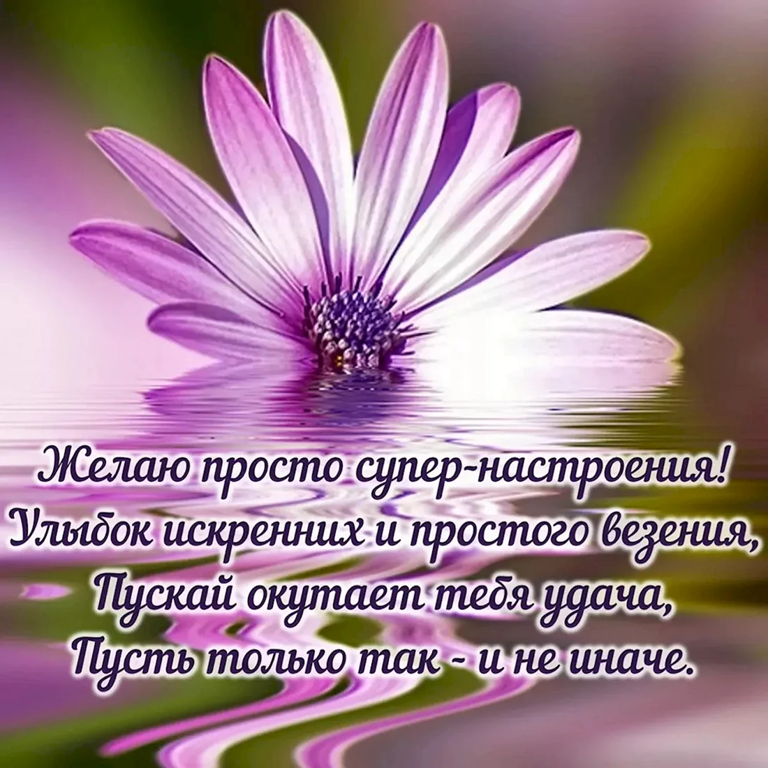 Пожелания доброго дня