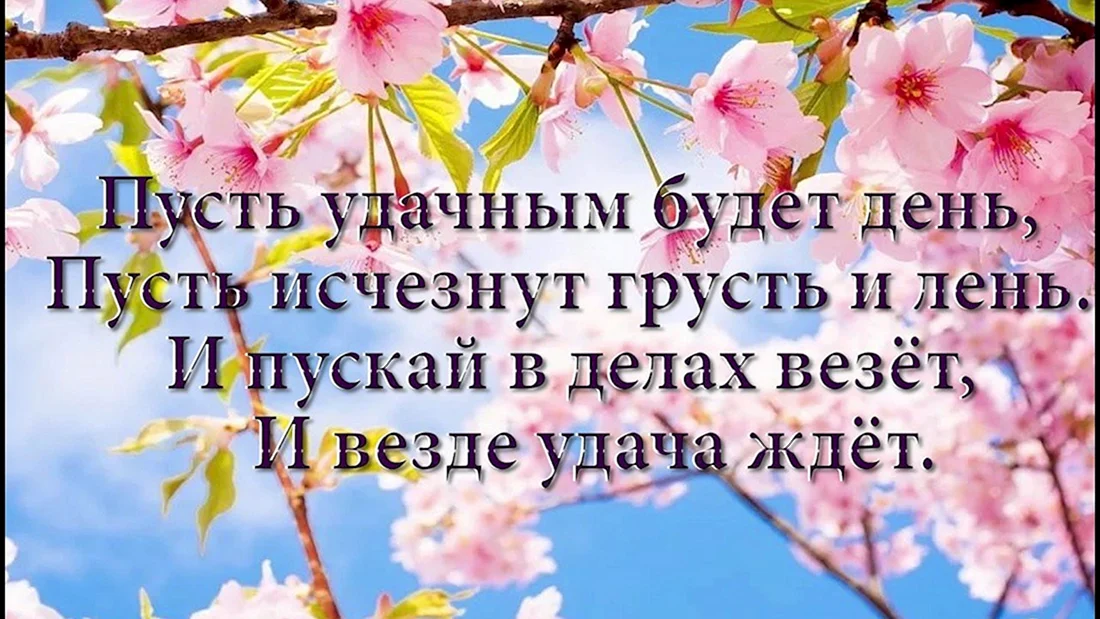 Пожелания доброго удачного дня