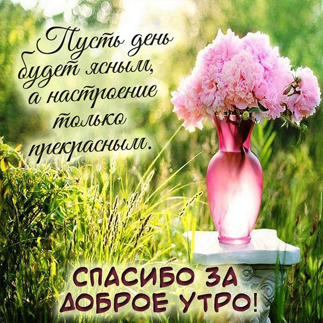 Доброе утро: пожелания доброго утра в прозе, своими словами, в картинках — Украина