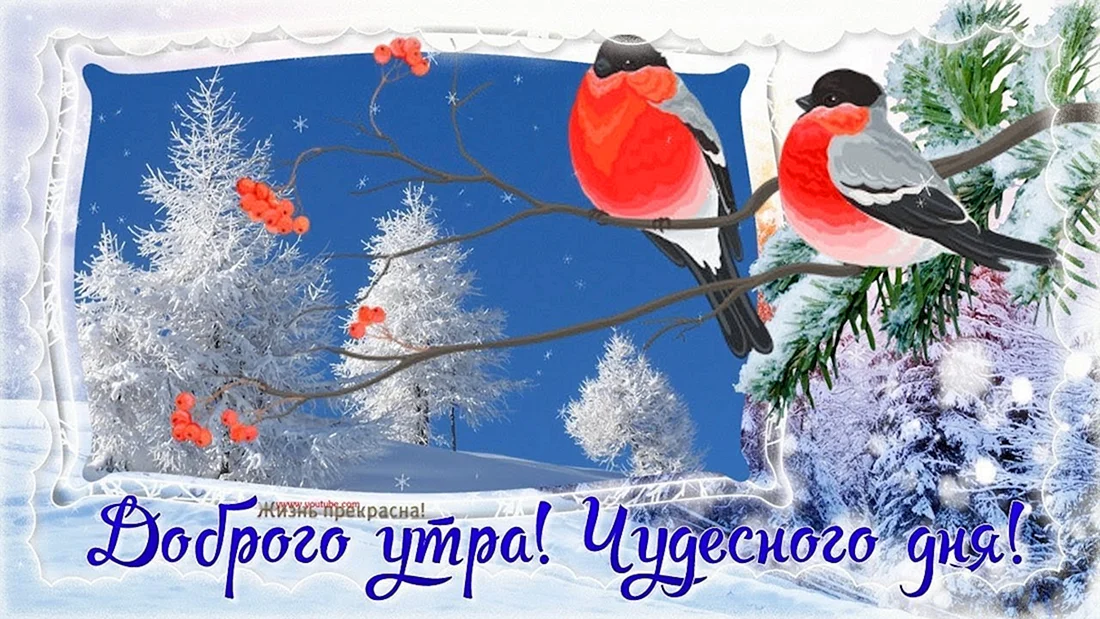 Пожелания доброго зимнего утра