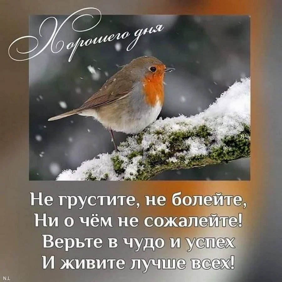 Пожелания доброго зимнего утра