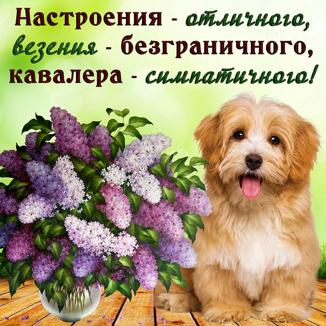 Пожелания хорошего настроения