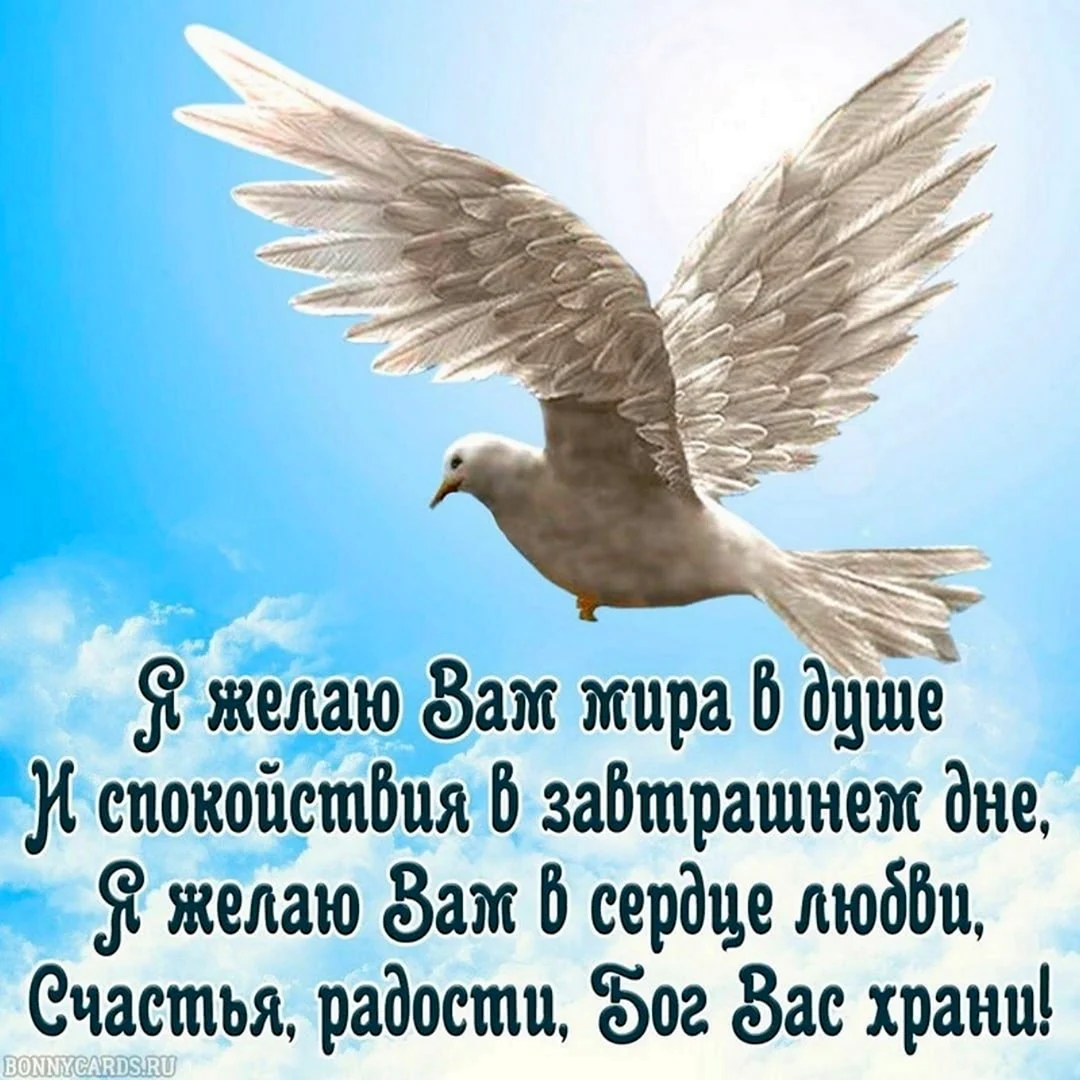 Пожелания мира