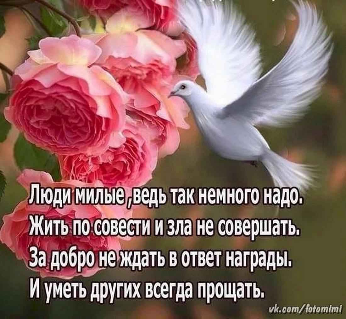 Пожелания мира и добра