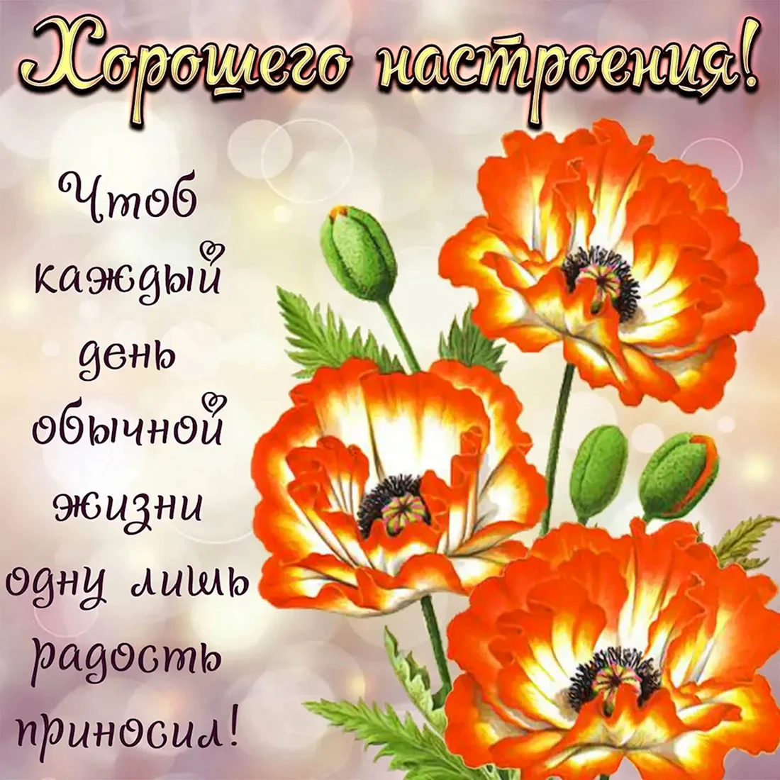 Пожелания на каждый день