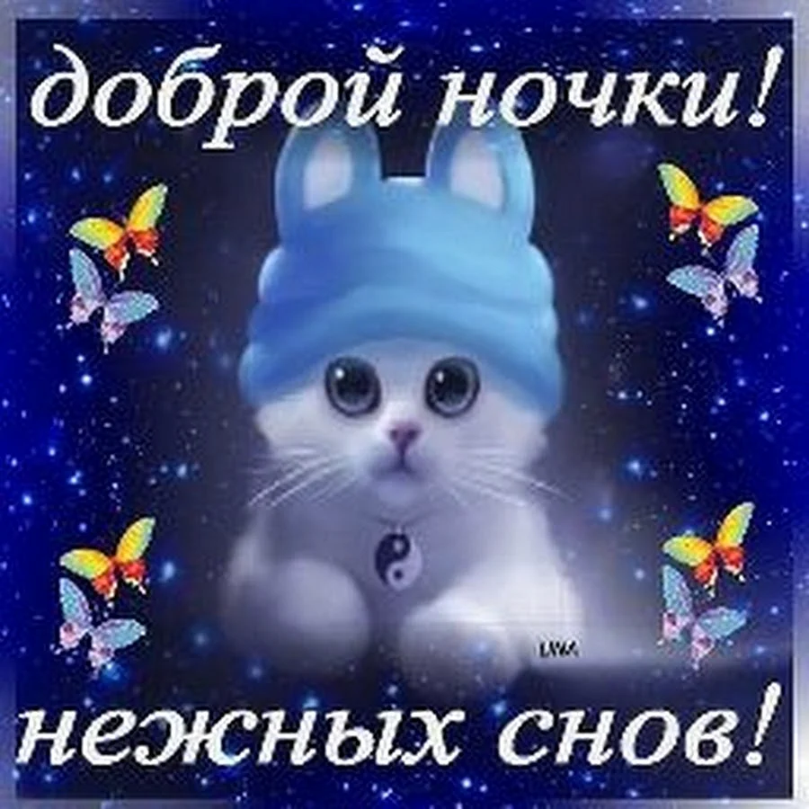 Пожелания спокойной ночи