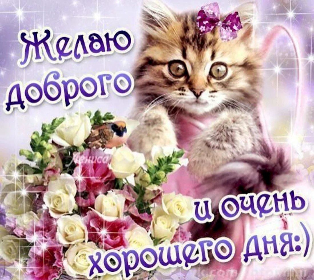 Пожелания удачного дня