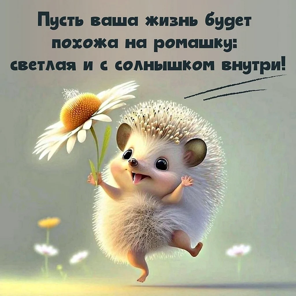 Позитивные открытки