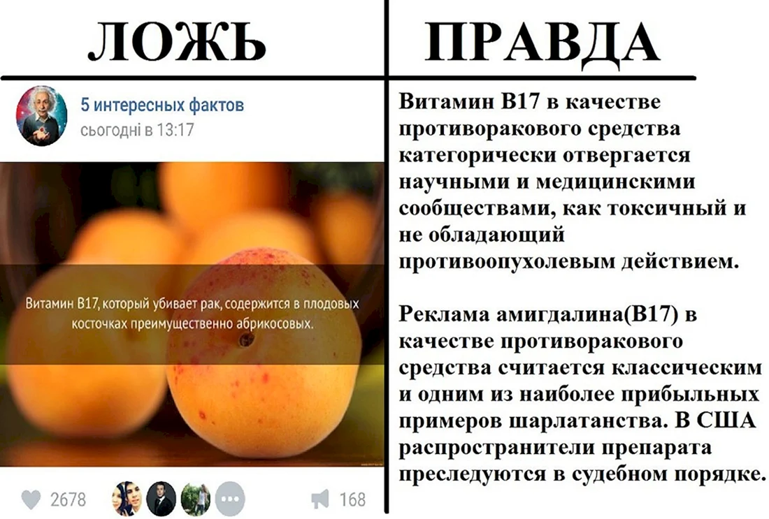 Правдаложь интересные факты