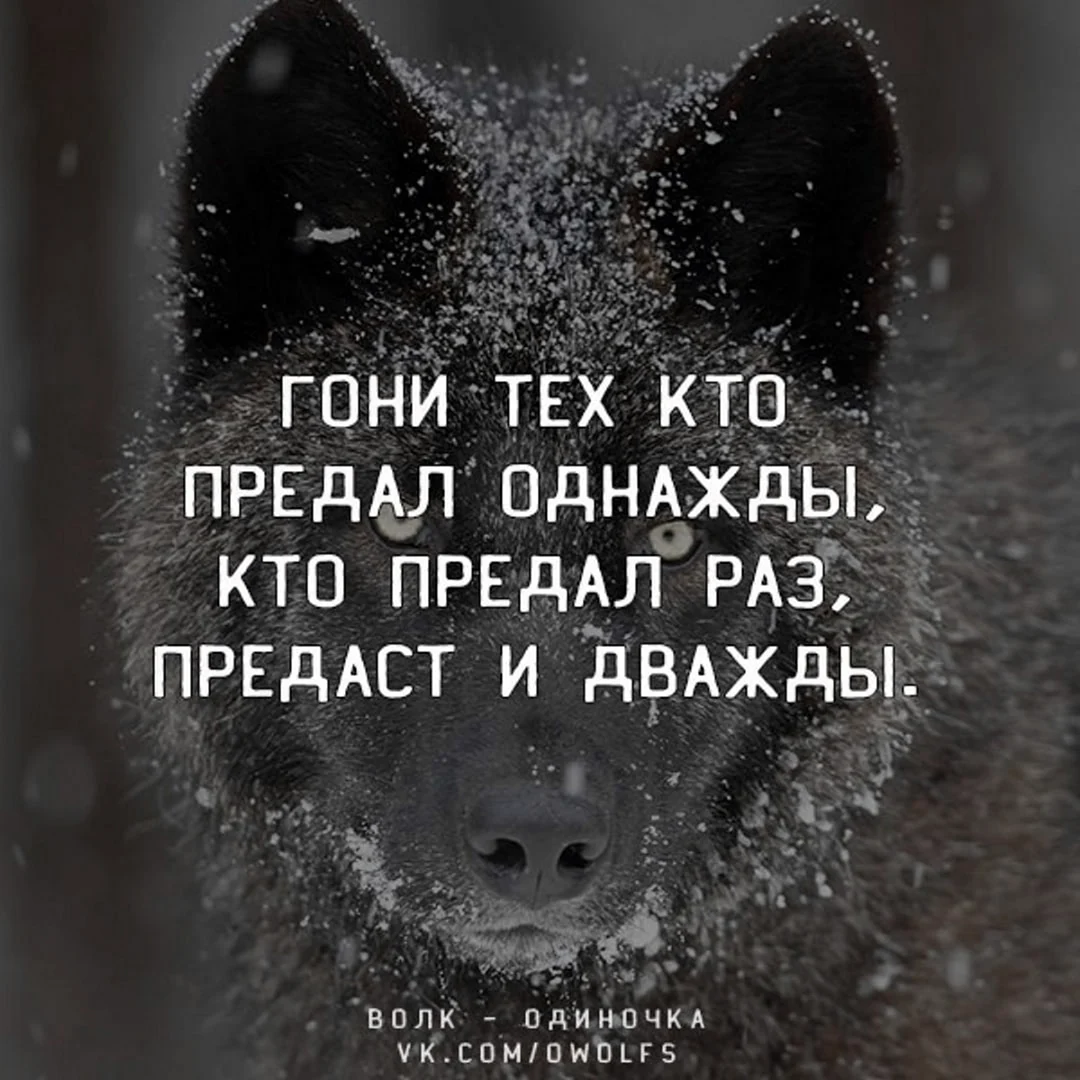 Предавший раз предаст и дважды
