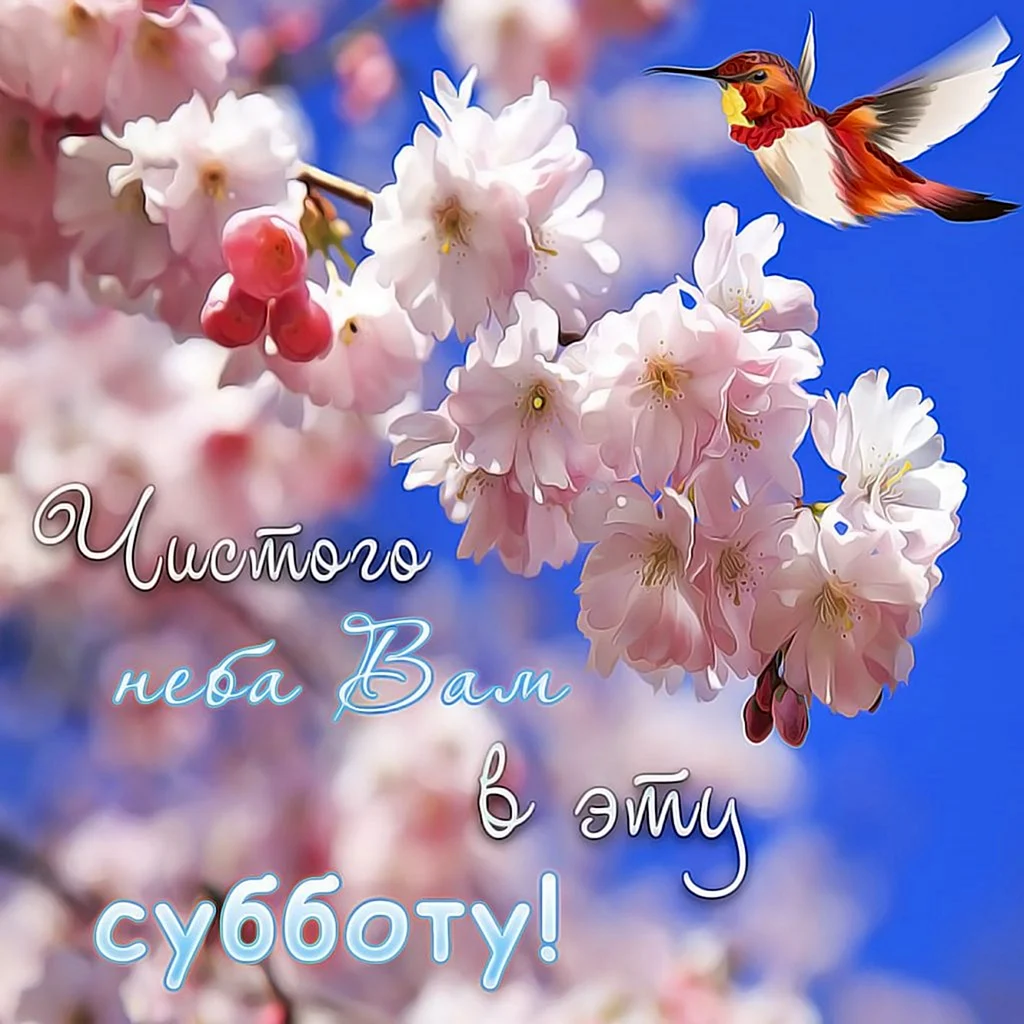 Прекрасного весеннего дня