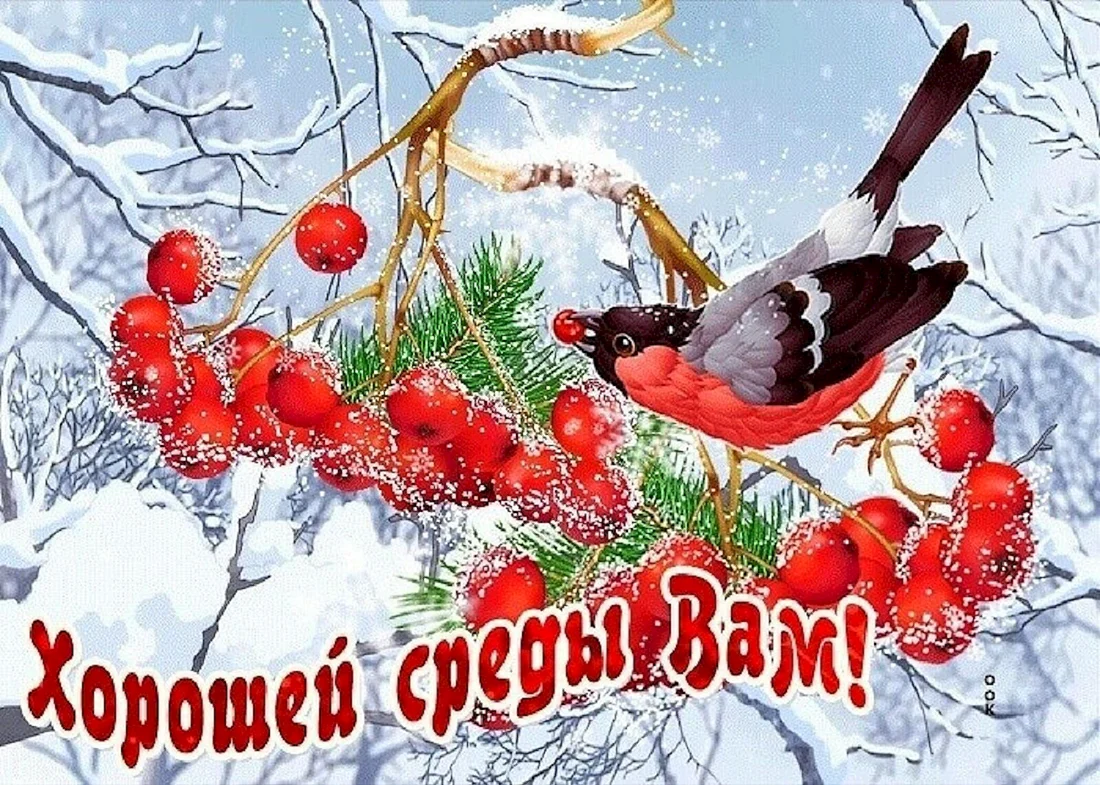 Прекрасного зимнего дня