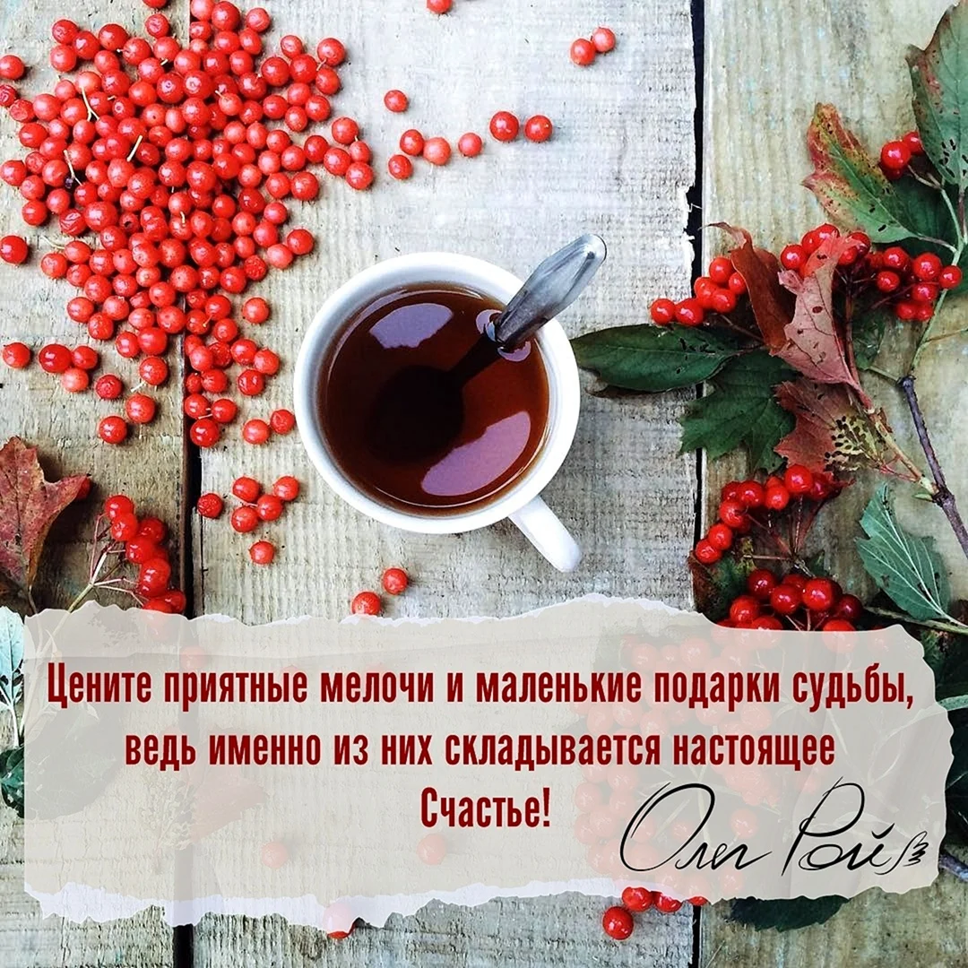 Приятные цитаты