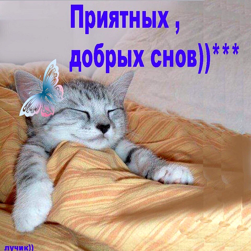 Приятных снов