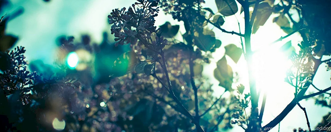 Природа