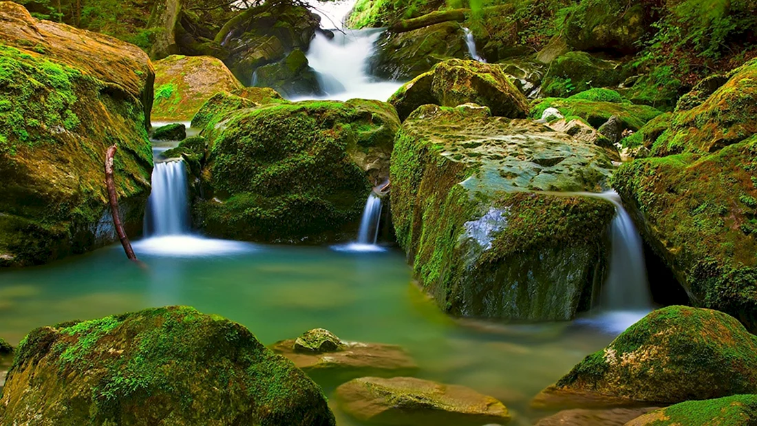 Природа