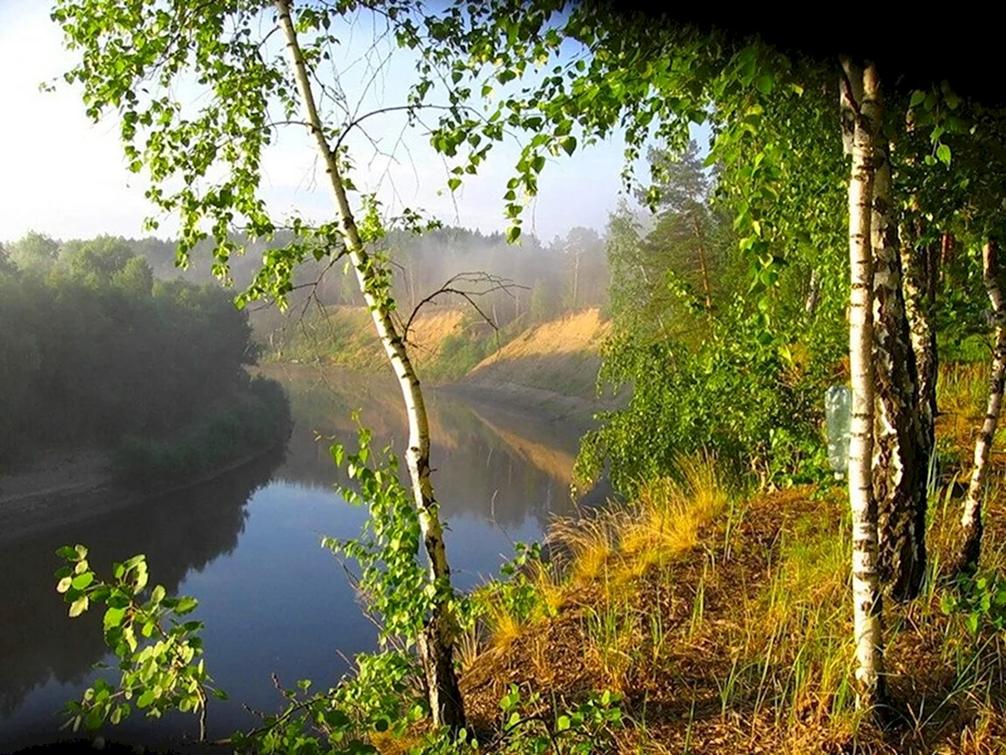 Природа деревня речка Березки