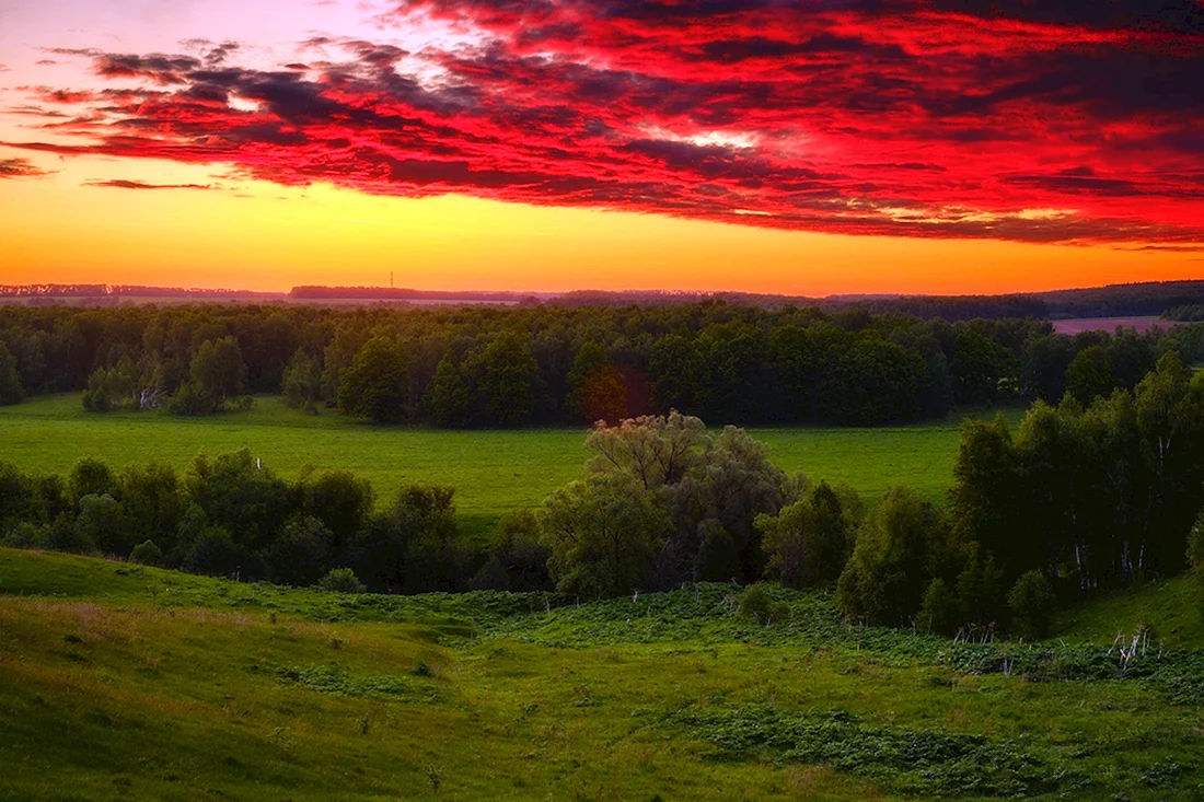 Природа родного края