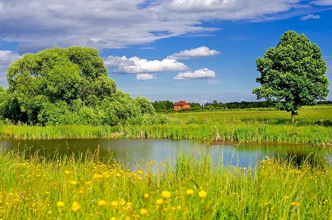 Природа родного края