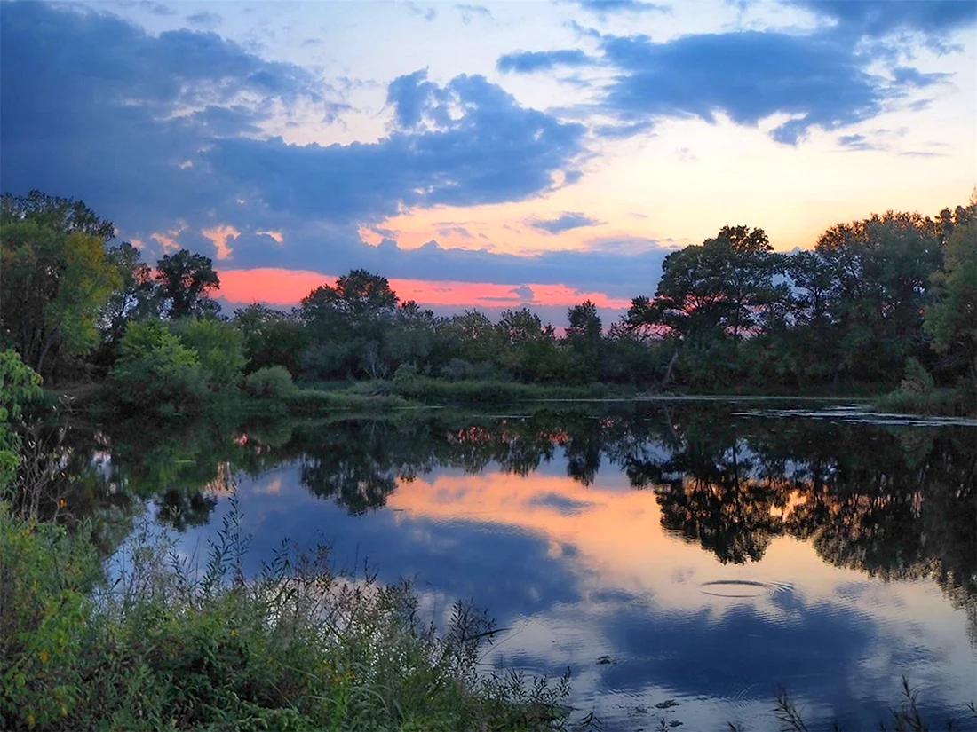 Природа родного края