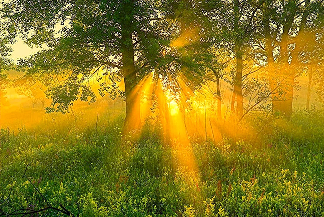 Природа солнце