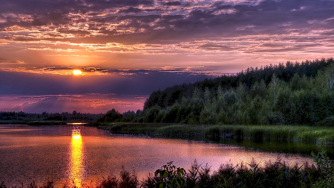 Природа закат