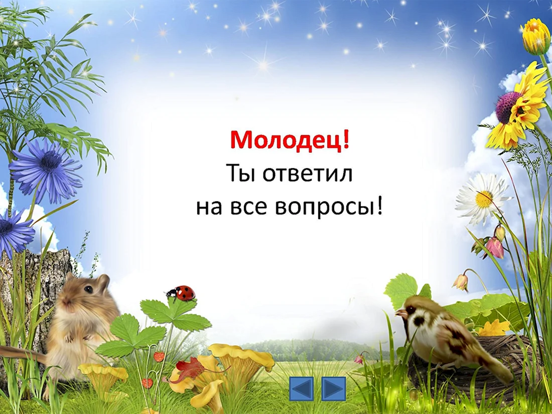 Рамка природа