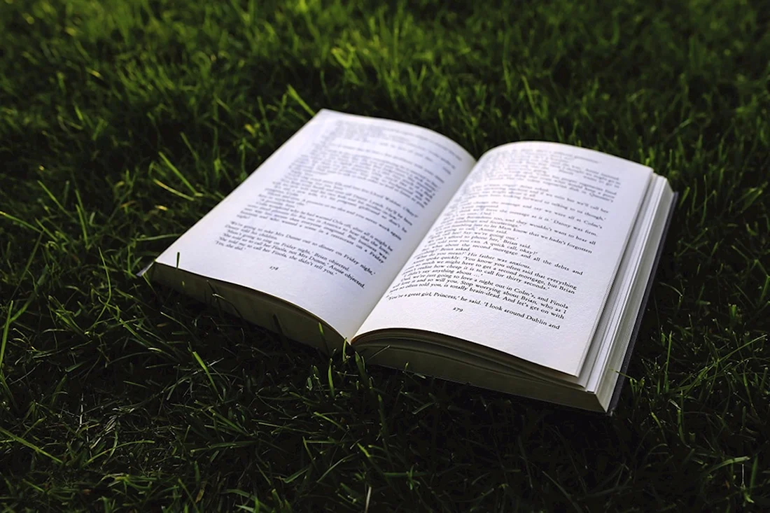 Раскрытая книга