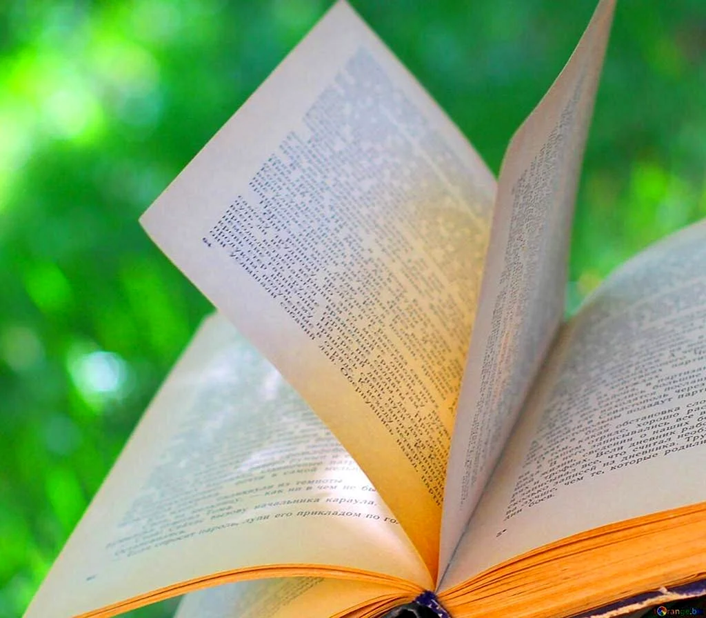 Раскрытая книга