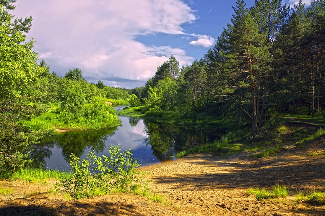 Река Андога