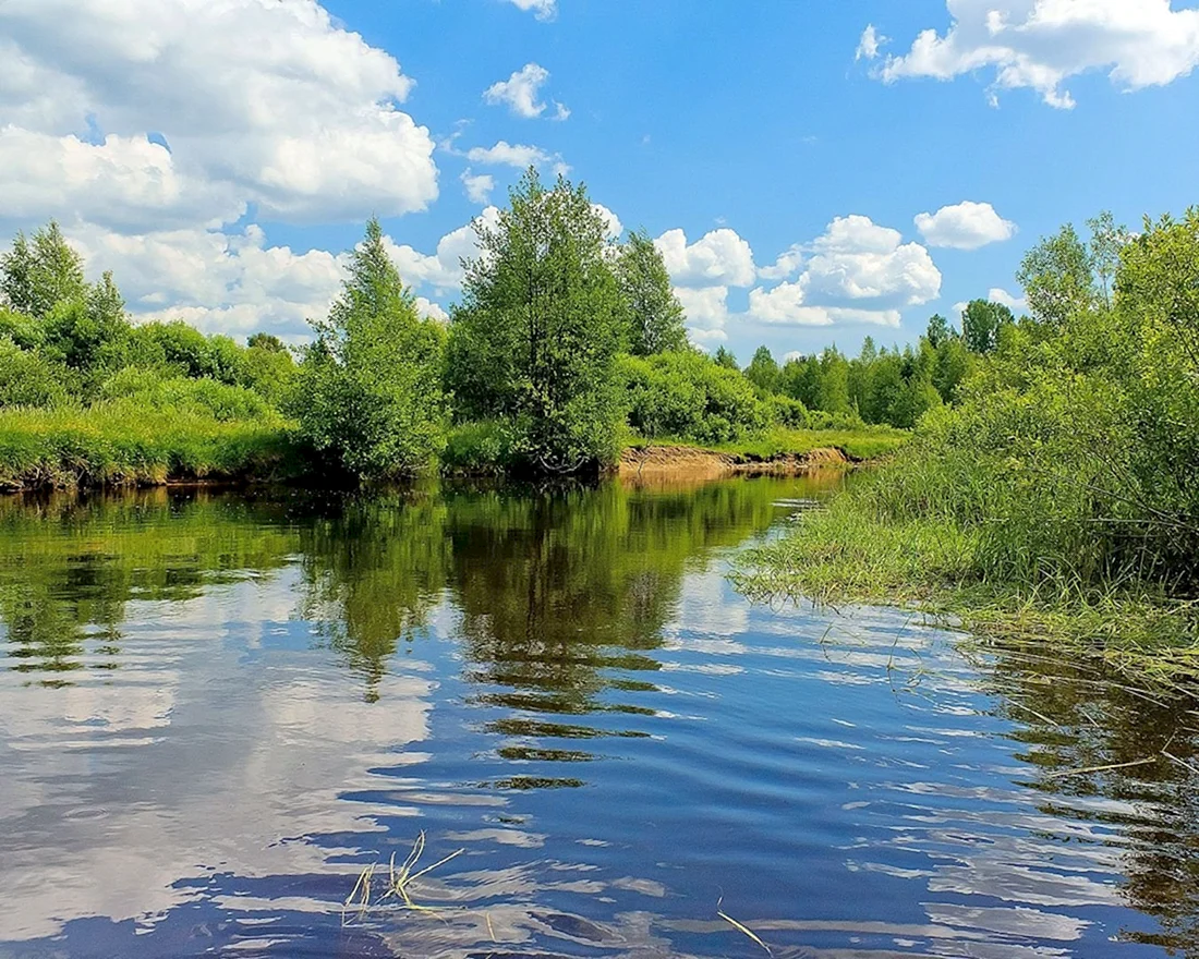Река Тарбуга