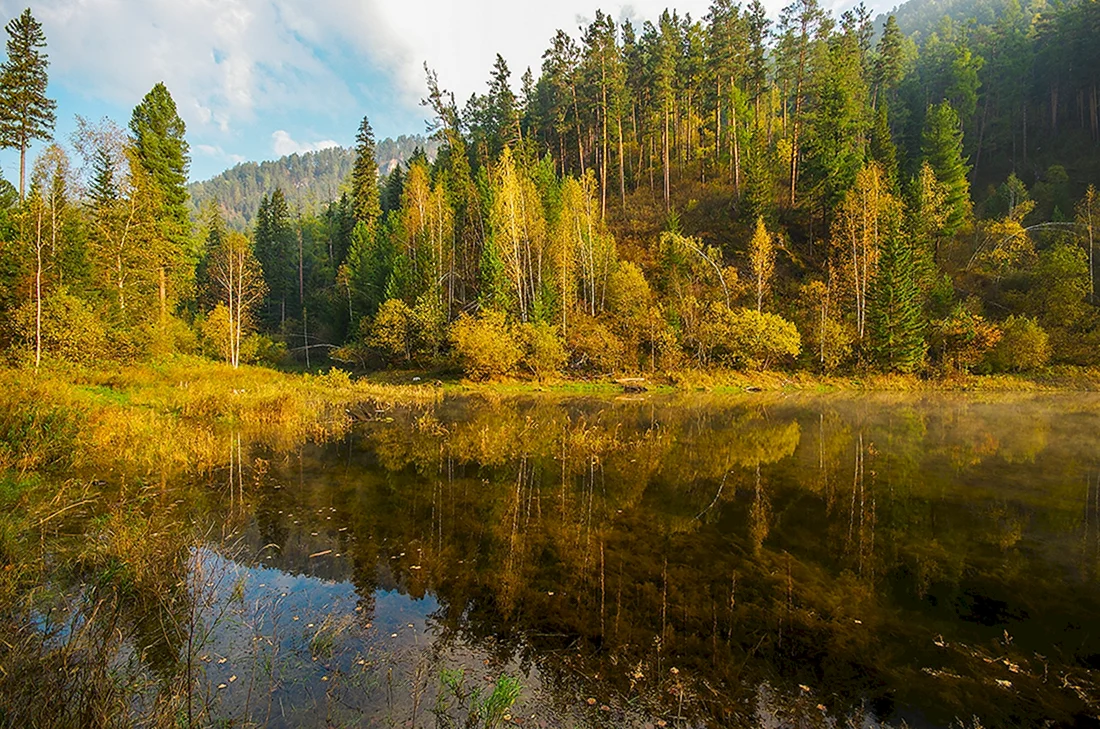 Реки Сибири Бирюса