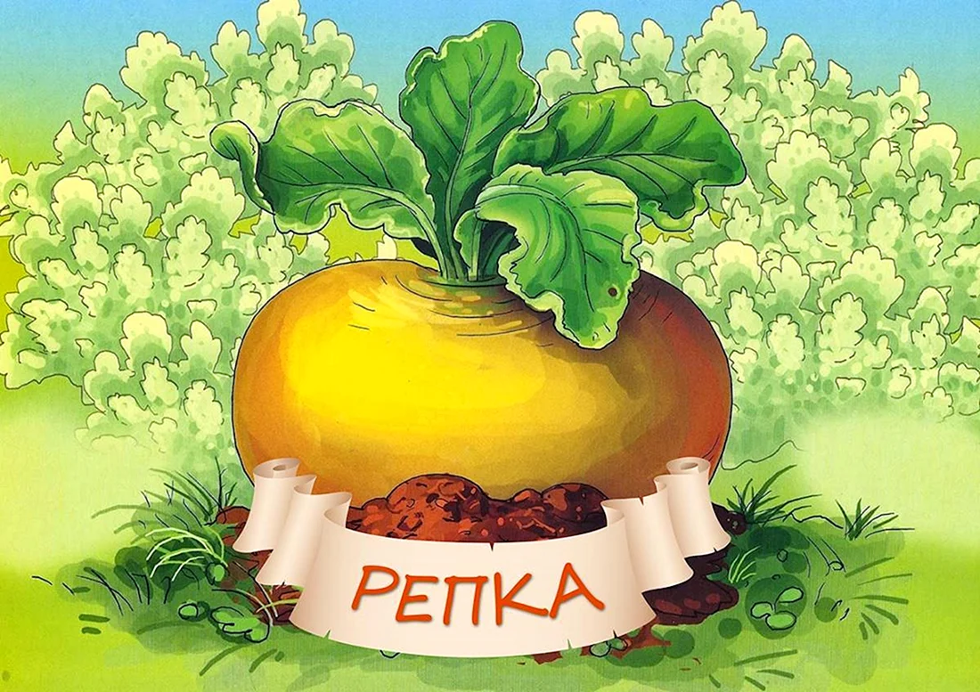 Репка
