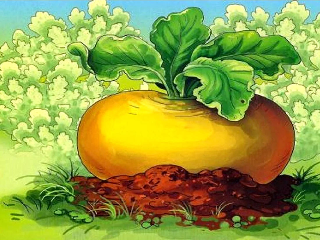 Репка