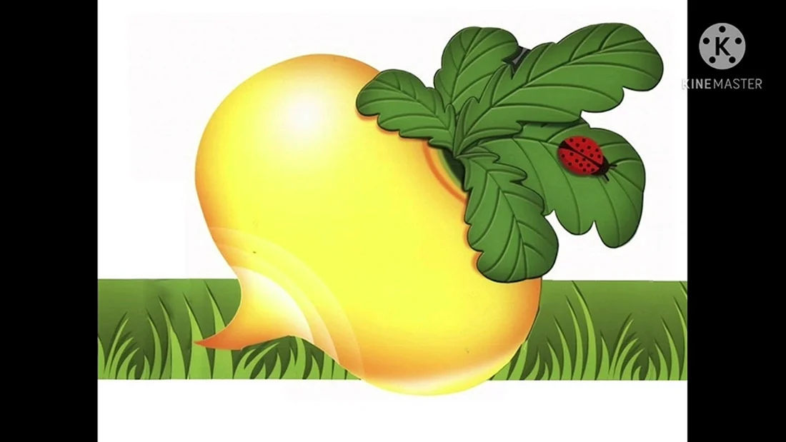 Репка герои Репка