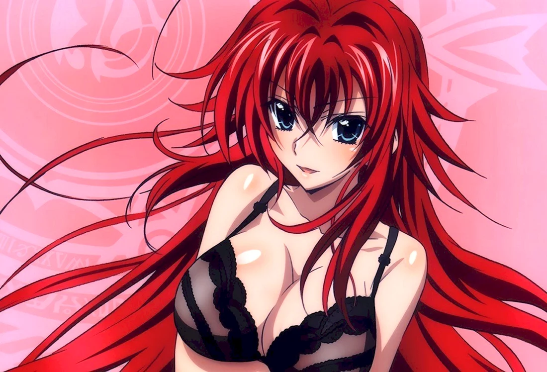 Rias gremory + Фотография