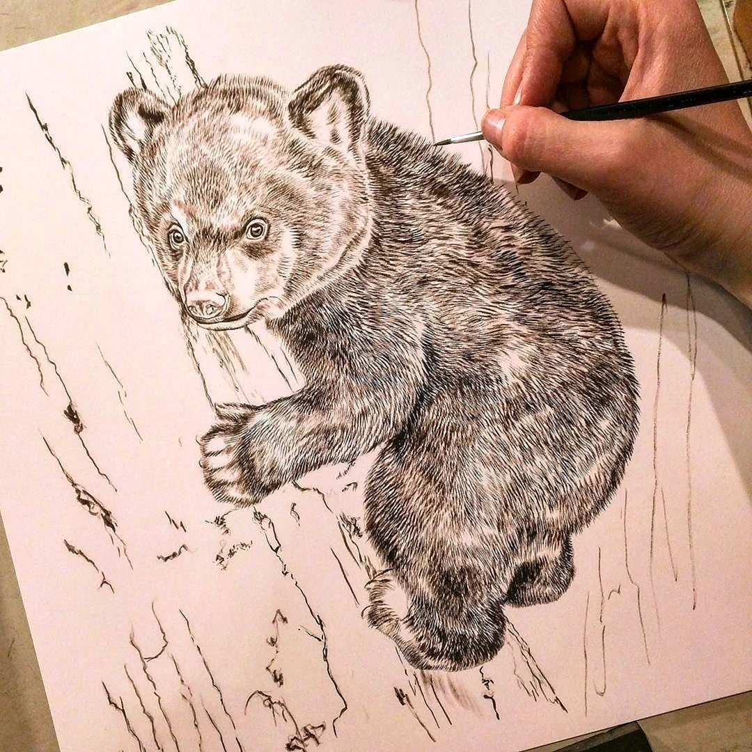 Рисунки для выжигания