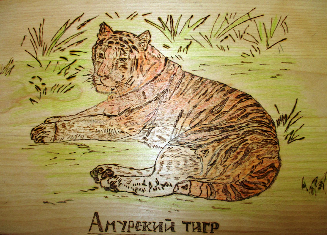 Рисунки для выжигания по дереву