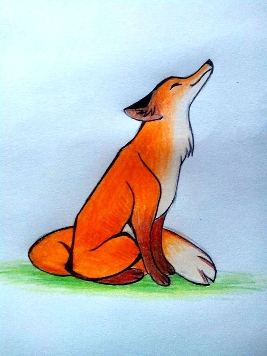 Рисунок лисы