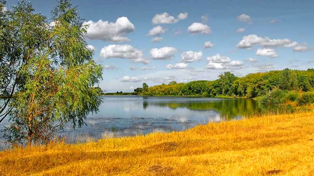 Родина Ульяновская область природа