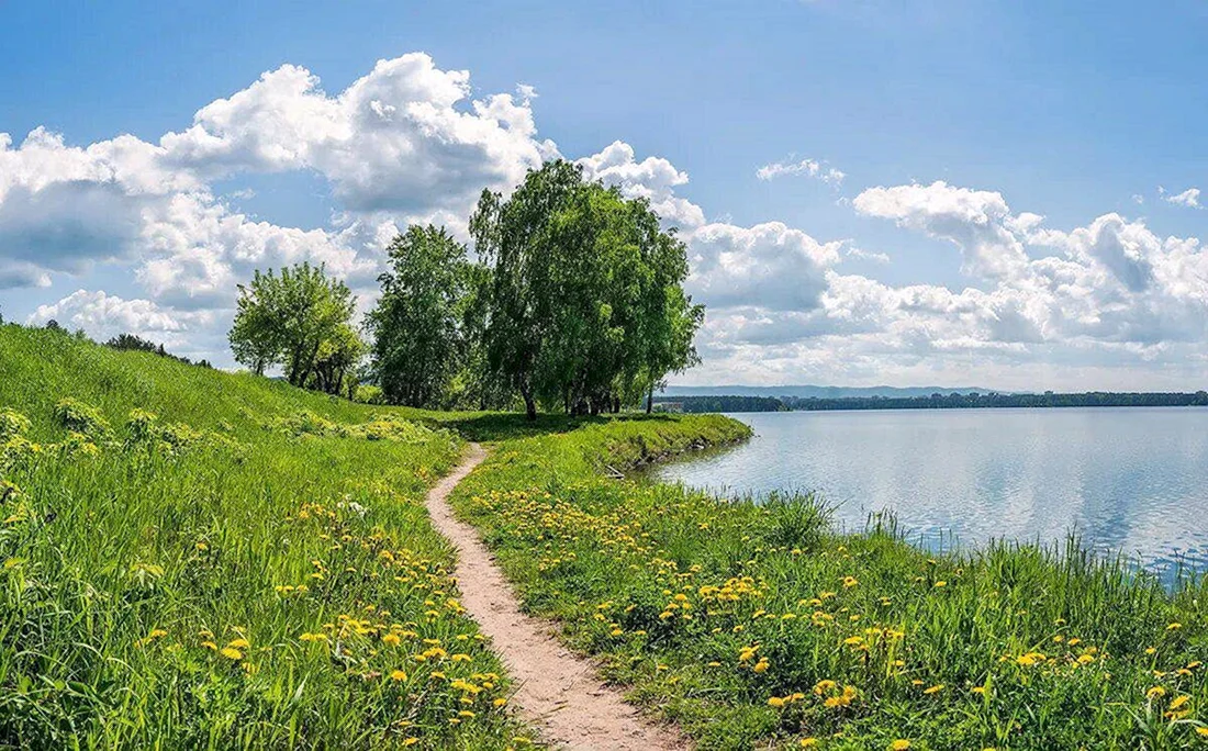 Родной край